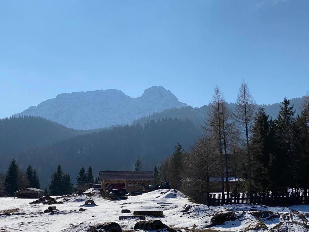 Apartament Mysliwski Zakopane Extérieur photo