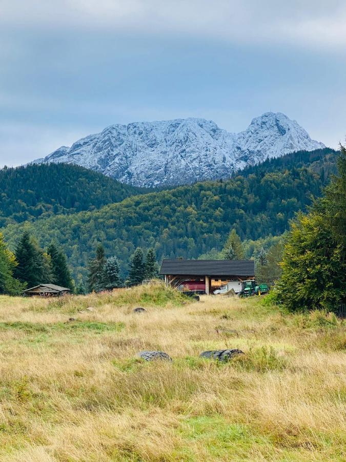 Apartament Mysliwski Zakopane Extérieur photo